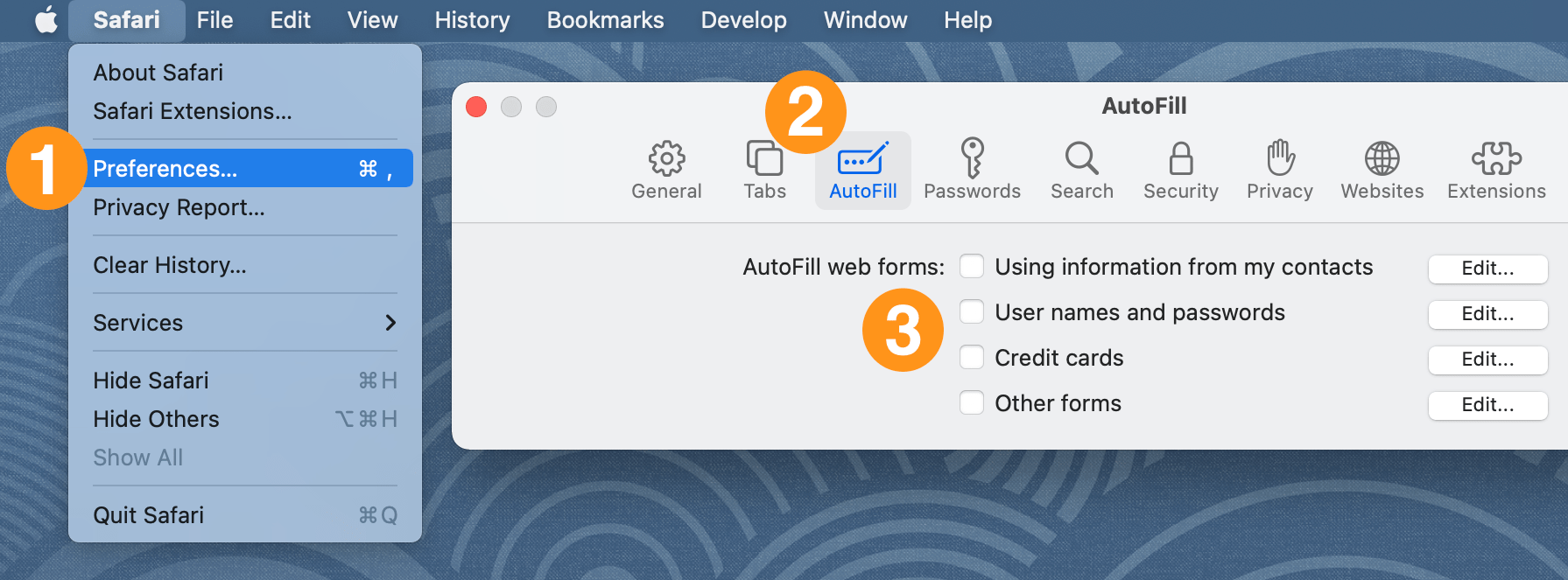 Turn off the AutoFill settings in Safari preferences